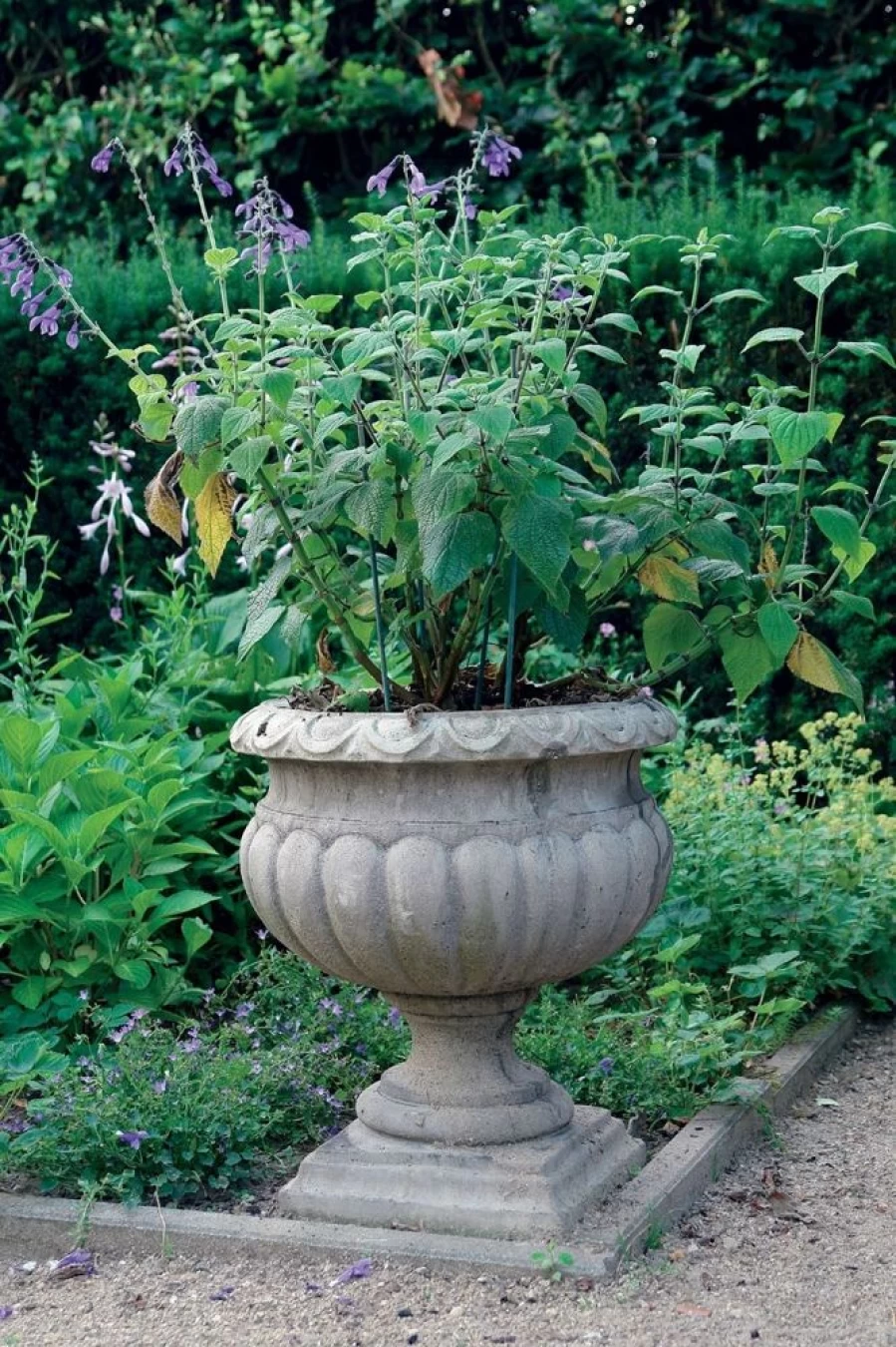 "Buckingham Urn Stone Planter - Elegant Garden Sculpture by STATUES & SCULPTURES"