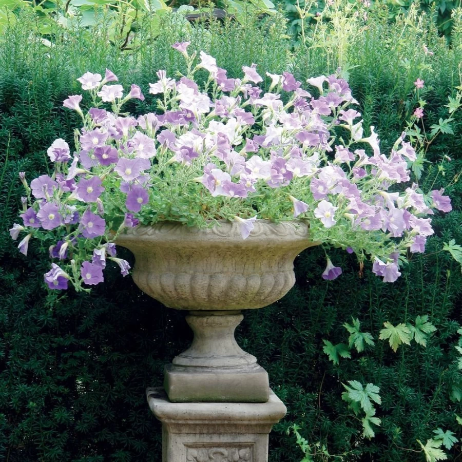 Victorian Style Medium Stone Outdoor Garden Planter – STATUES & SCULPTURES