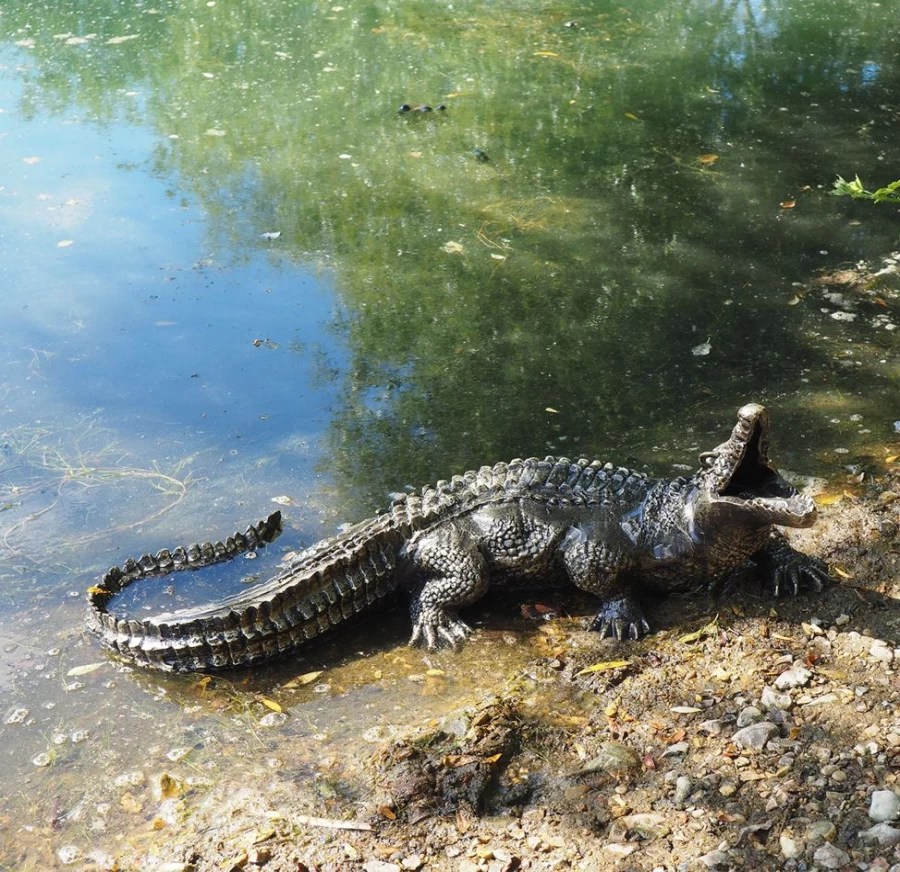 "STATUES & SCULPTURES Baby Crocodile Bronze Garden Statue Outdoor Decor"