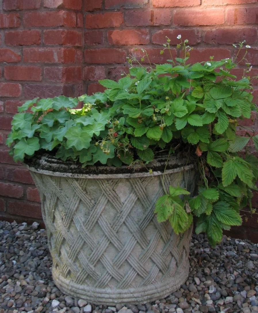 STATUES & SCULPTURES Jardinier 40Cm Stone Basket Weave Planter for Outdoor Garden Decor