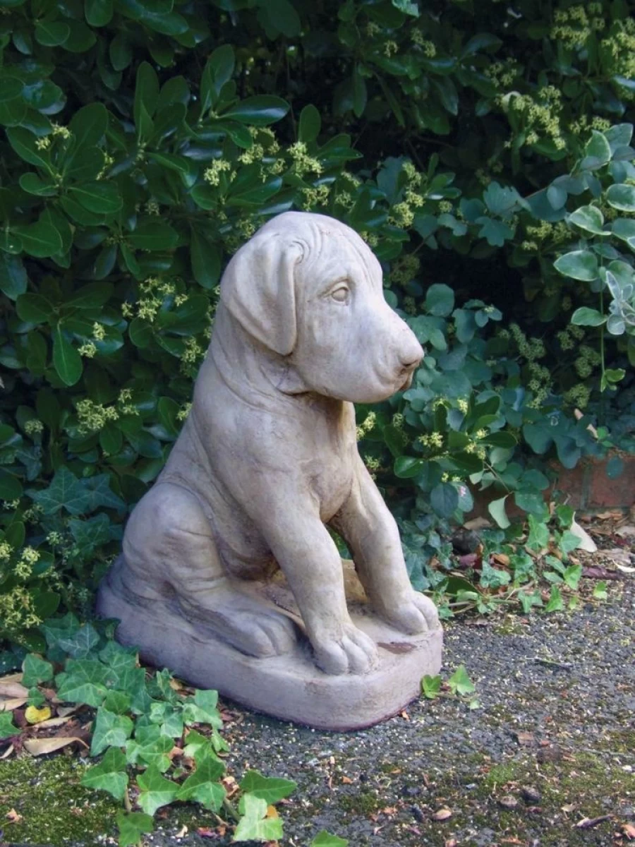 "STATUES & SCULPTURES Great Dane Puppy Garden Statue – Outdoor Stone Dog Decor"