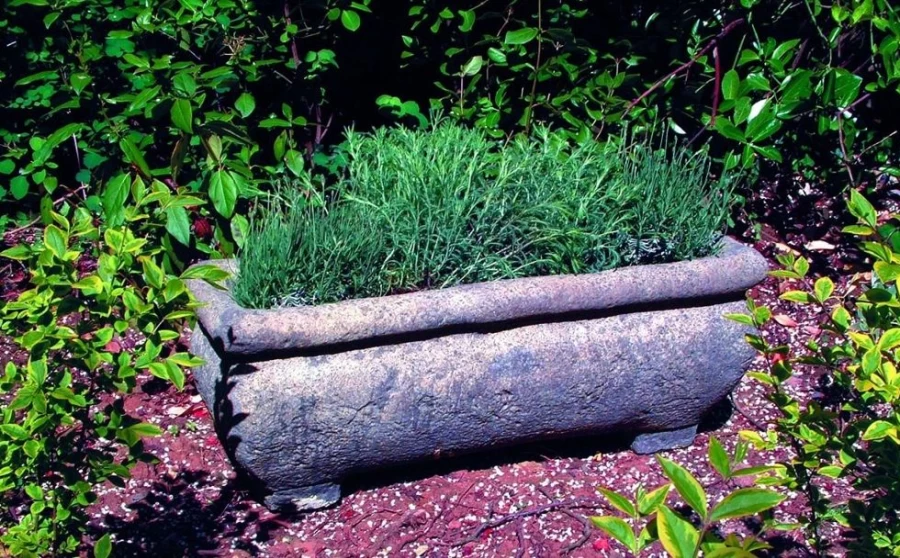"STATUES & SCULPTURES 33Cm Stone Garden Planter – Continental Style Plant Trough"