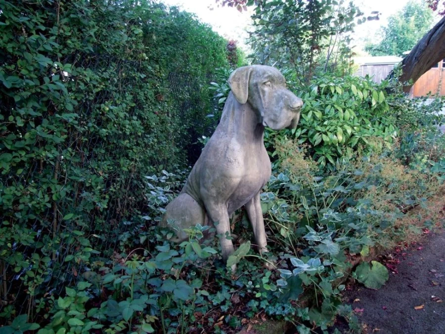 "STATUES & SCULPTURES Great Dane Male Dog Outdoor Garden Statue – Handcrafted Stone Decor"
