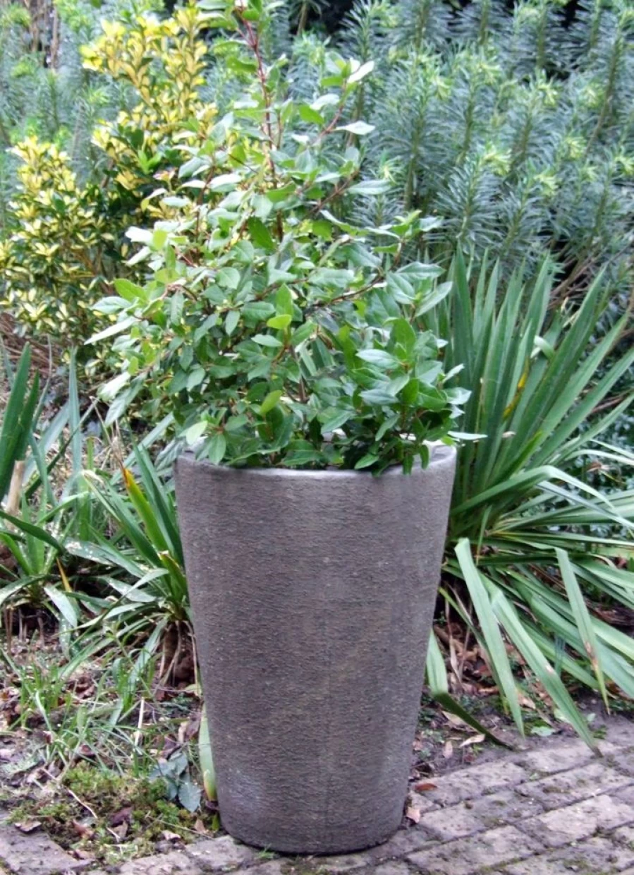 "STATUES & SCULPTURES Grand Long Tom Vase - Large Stone Garden Planter for Outdoor Decor"